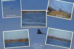 2024_01_07-Hochwasser-Weser-Kaperdeich