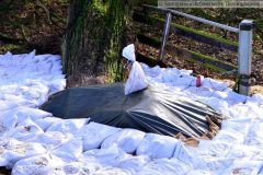 29.12.2023-umgestuerzten-Baum-und-der-Sicherungsmassnahme-in-der-Horstedter-Dorfstrasse-kjb-0006w