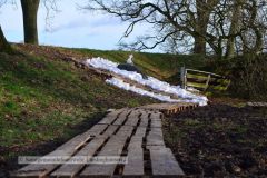 29.12.2023-umgestuerzten-Baum-und-der-Sicherungsmassnahme-in-der-Horstedter-Dorfstrasse-kjb-0012w